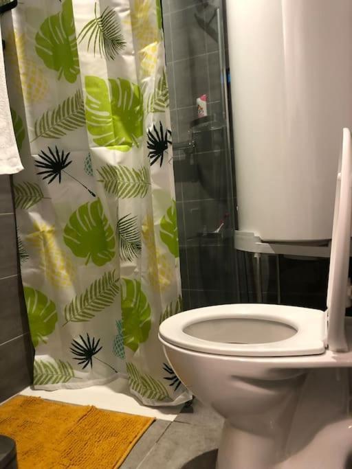 Superbe Appartement Meuble Refait A Neuf Tricastin Pierrelatte Dış mekan fotoğraf